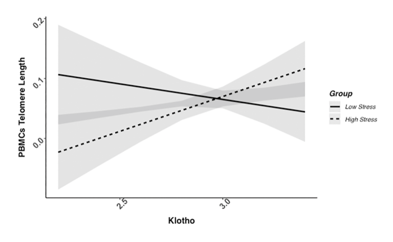 Associations between klotho and telomere biology in high stress caregivers