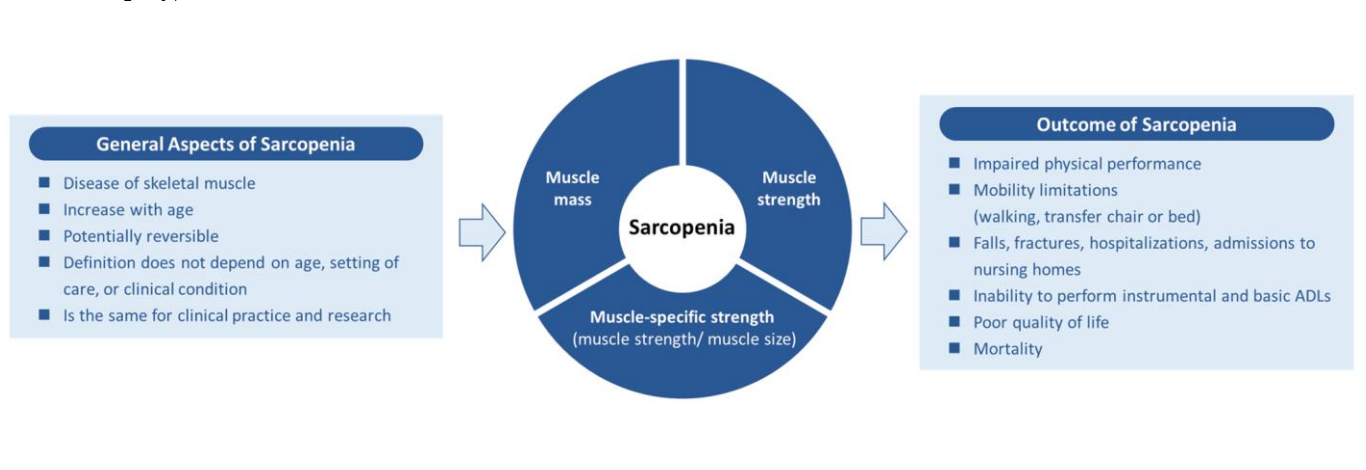 Global Consensus for Sarcopenia