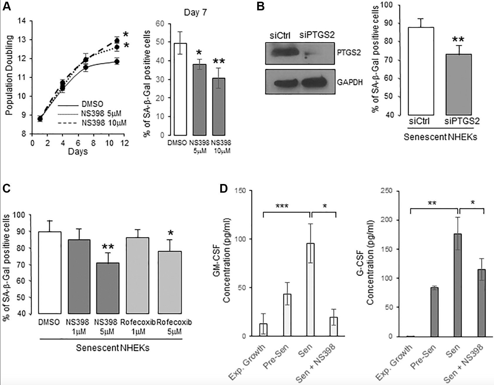 Prostaglandin E2's Role in Senescence and Neoplastic Escape in Human Keratinocytes